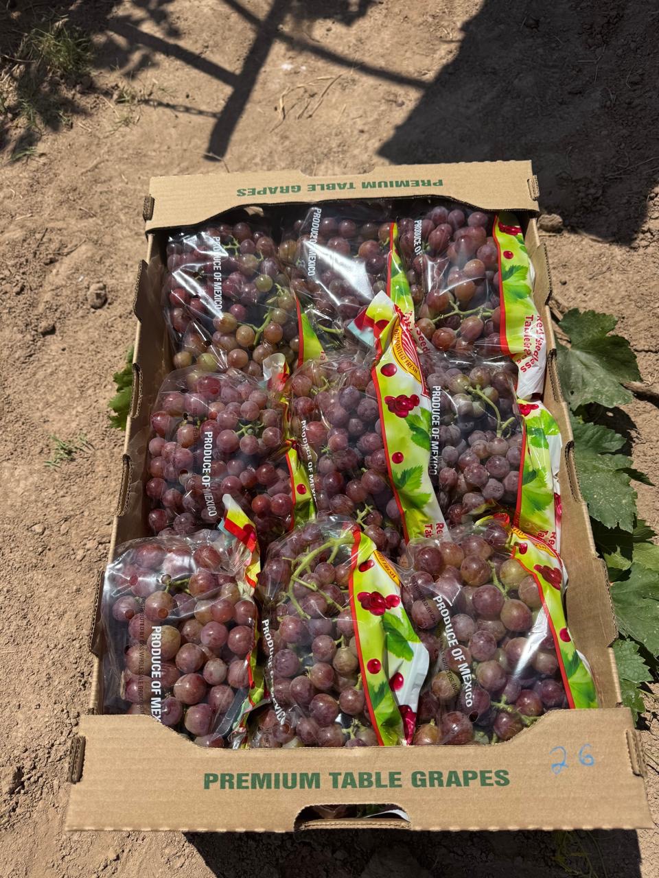 Caja con uva roja empacada